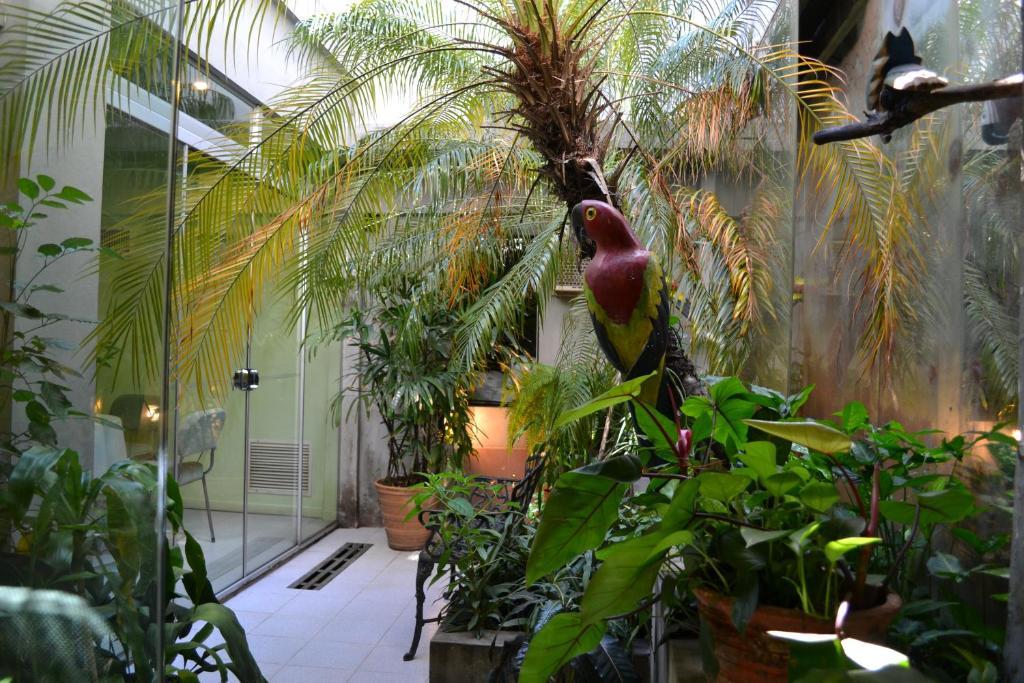 Hotel Amalfi Asunción Esterno foto